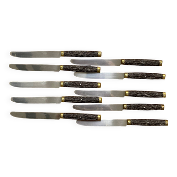 Set of 10 Pradel Laguîole knives
