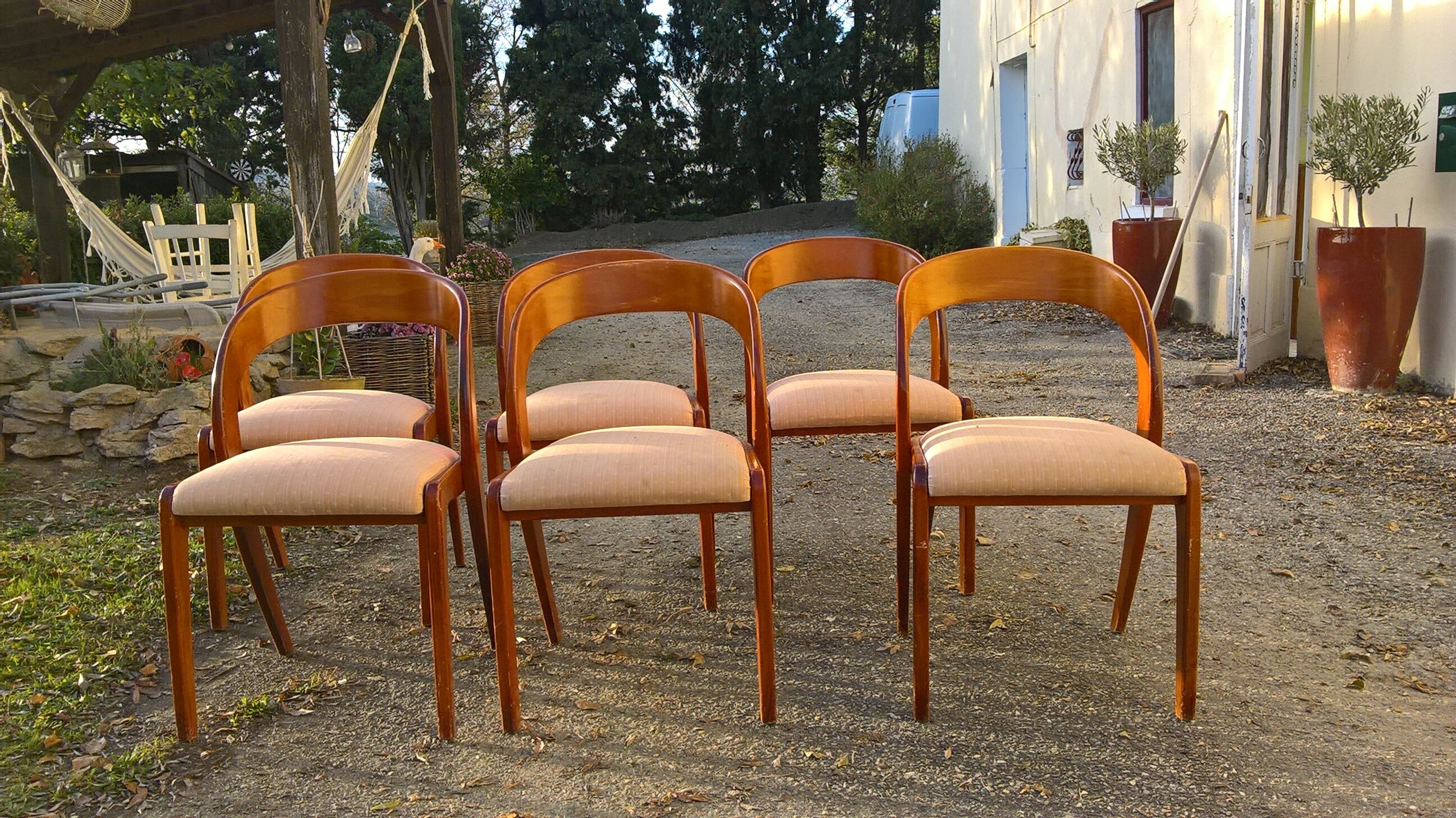 6 chairs Baumann