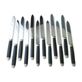 Box of 12 stainless table knives and blackened wood