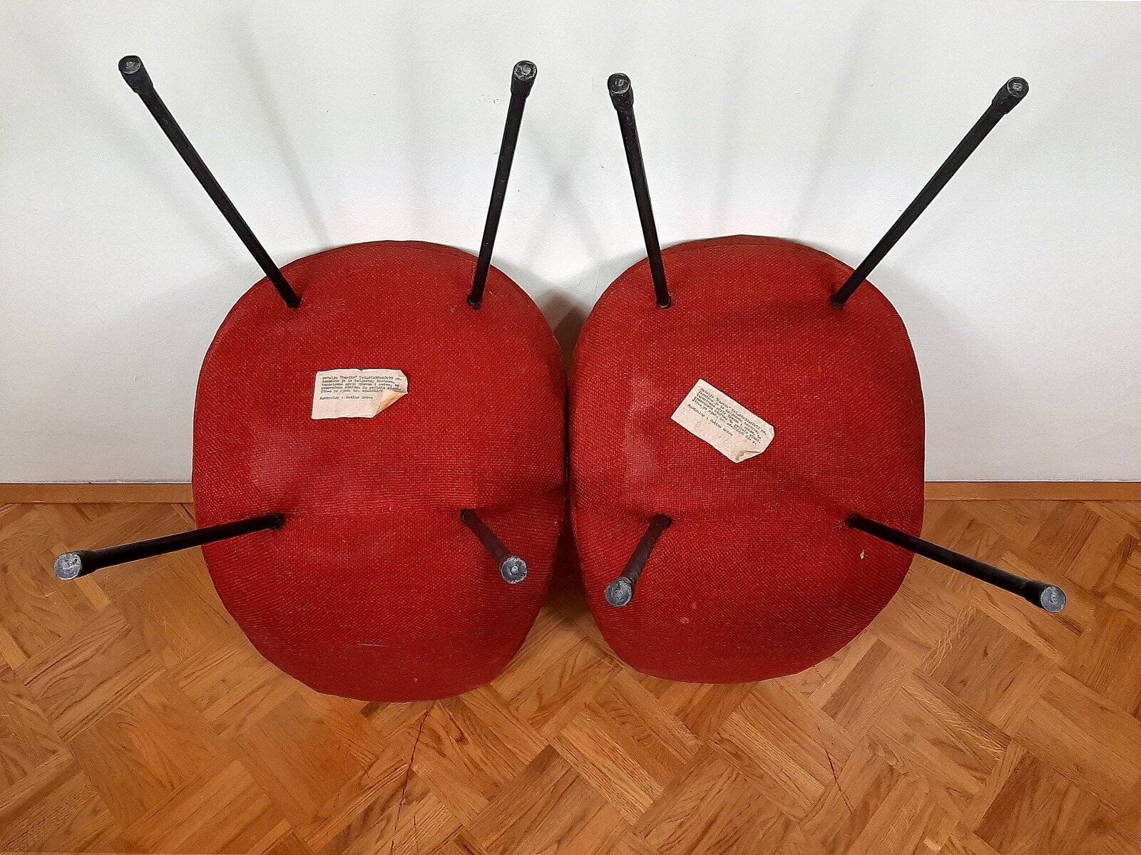 Set of Italian mid-century cocktail chairs, 1963.