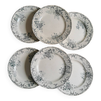 Old HC flat plates, iron earth