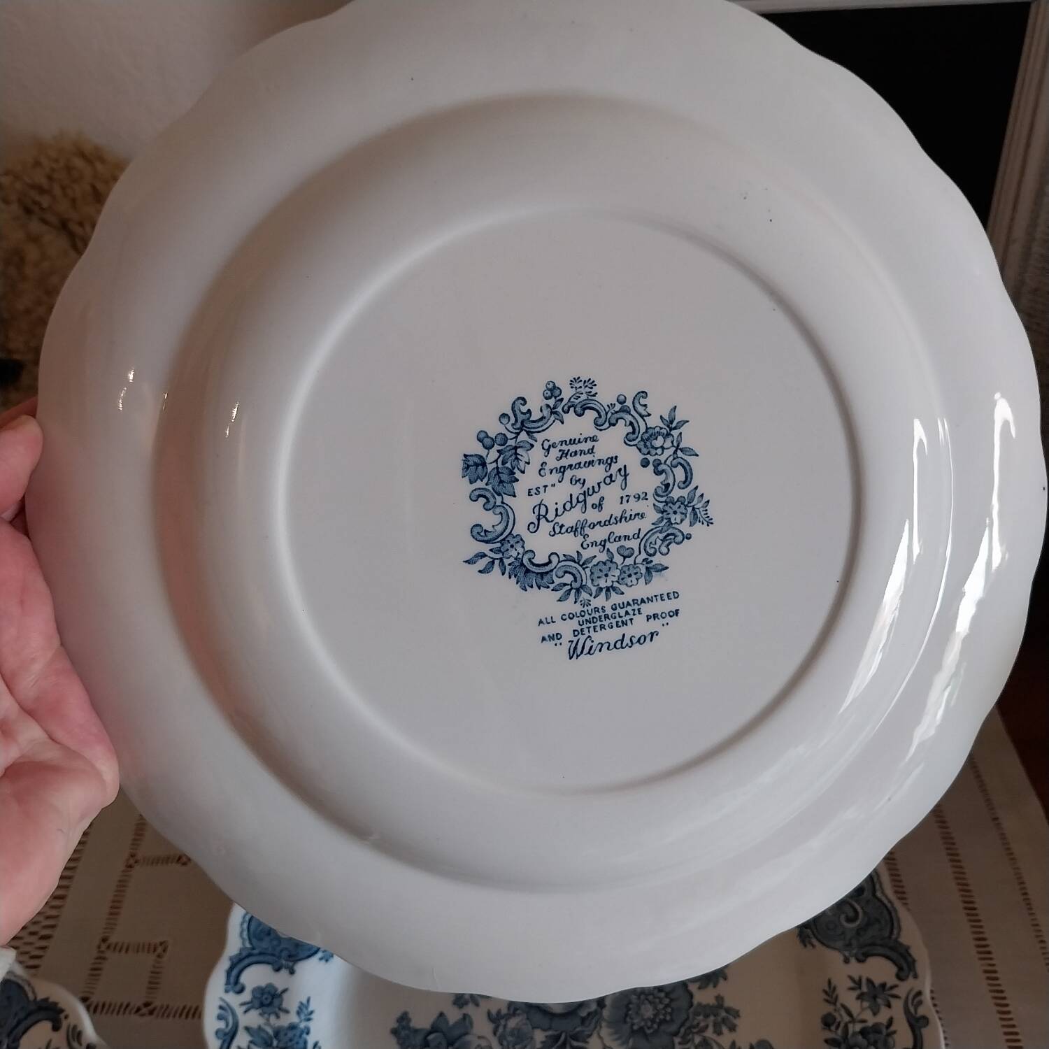 English dinner plates Ridgway of staffordshire Windsor