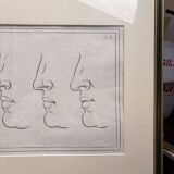 Old Print Engraving 19th Century Anatomy Nose Mouth Plate Head Morphology