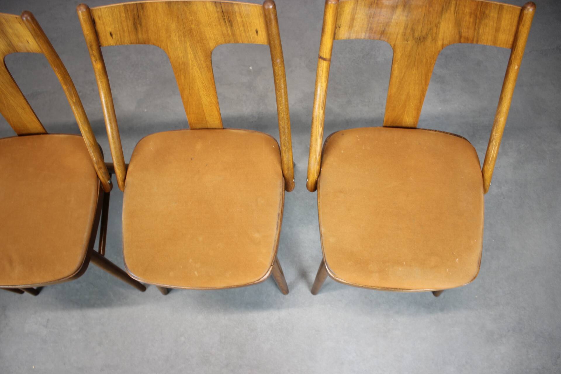 Set of four walnut dining chairs, Czechoslovakia, 1950s