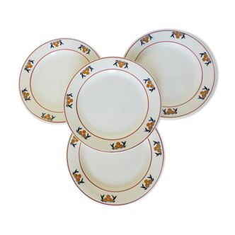 4 flat plates in iron earth of the Salins model Mimosa 210738