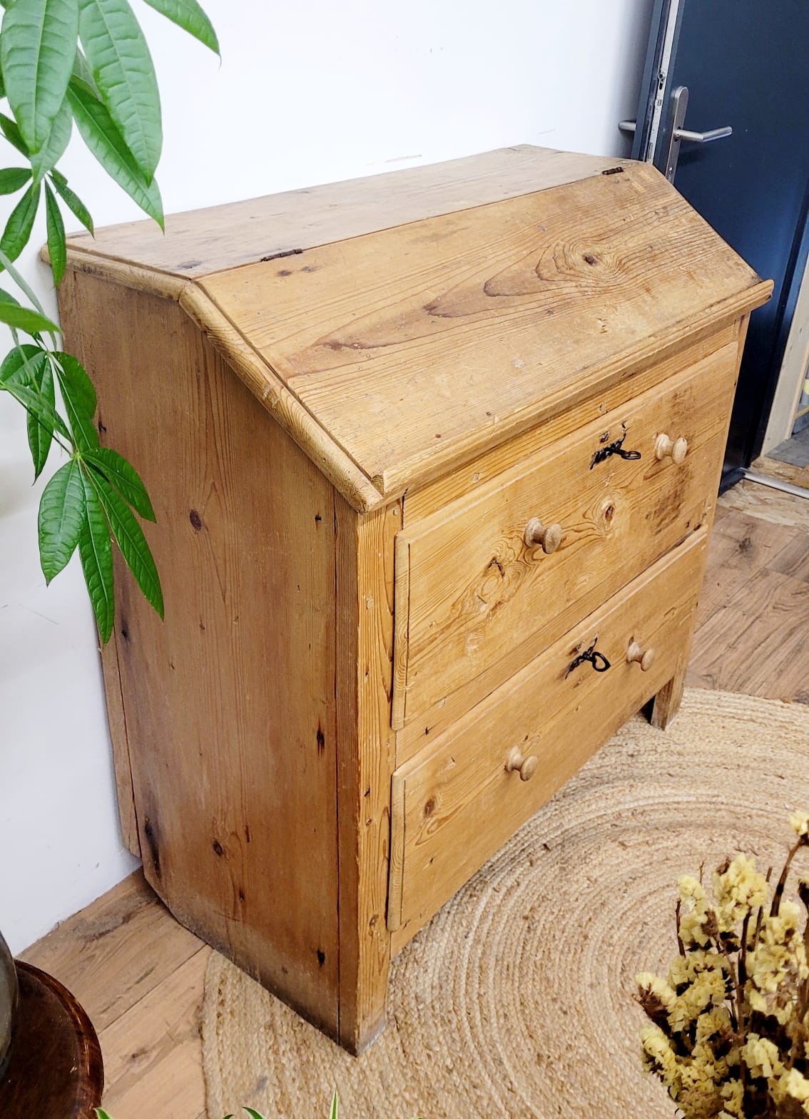 Donkey Back Secretary