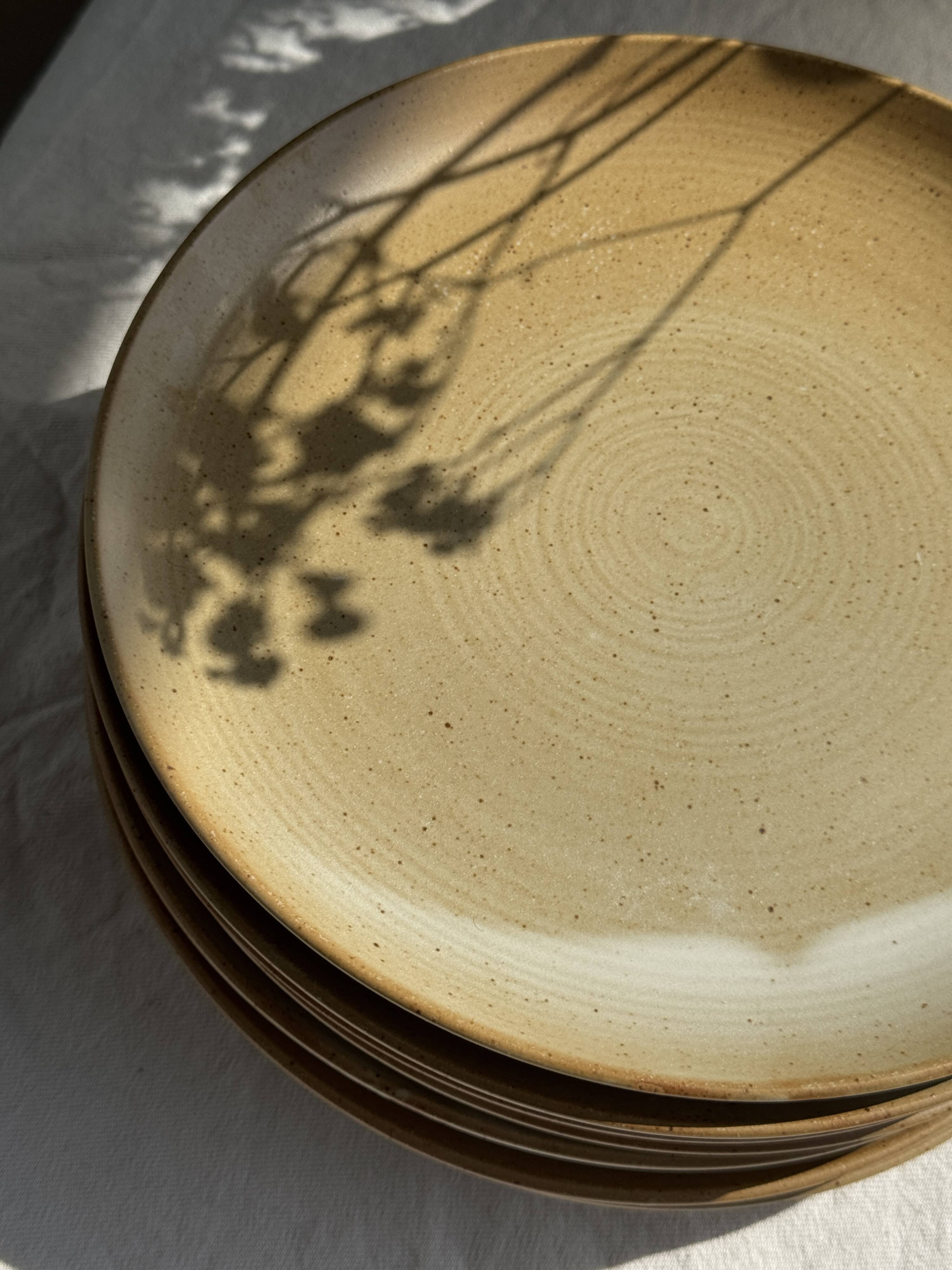 Set of 6 stoneware plates Village France D24