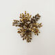 Gilded Italian Hollywood Regency metal wall lamp or flush light by Hans Kögl