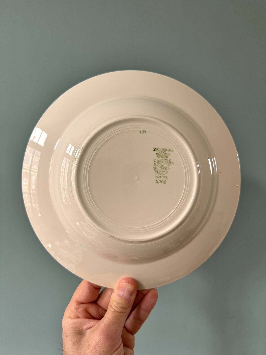 Set of 7 Digoin Sarreguemines earthenware soup plates