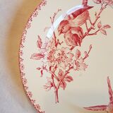 Plate with decoration of flowers and birds