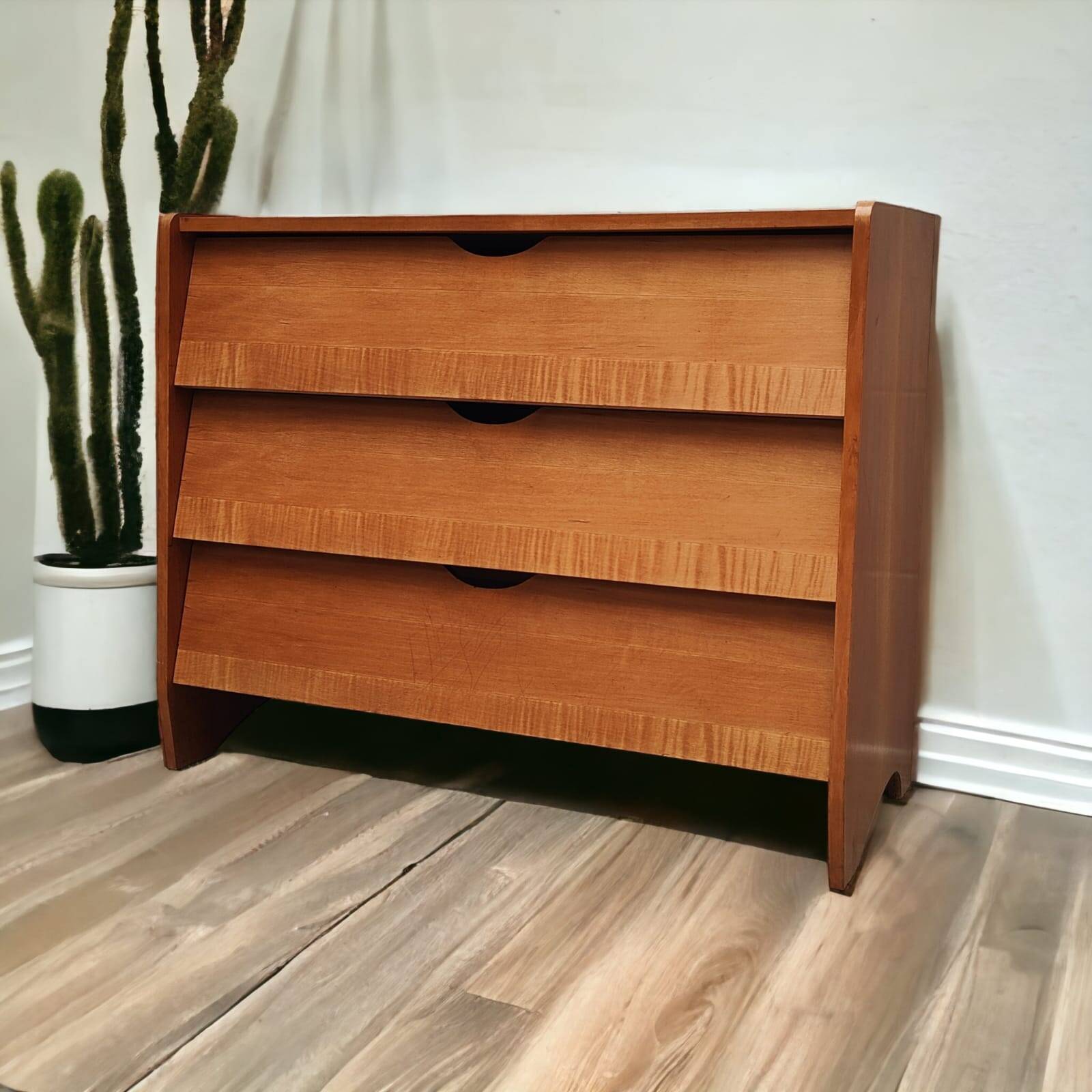 Mid Century shoe cabinet