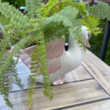 Swan plant pot