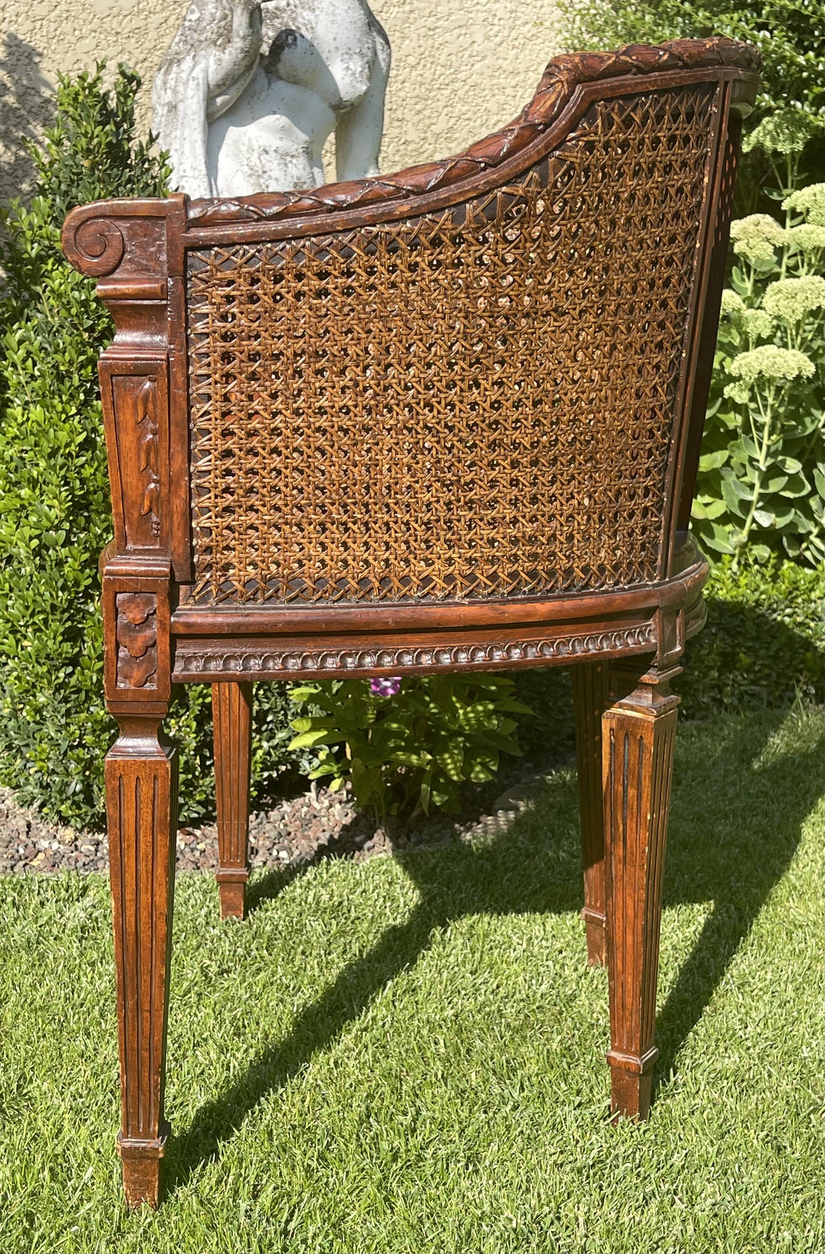 Armchair in Fruit Wood and Cannage Style Louis XVI