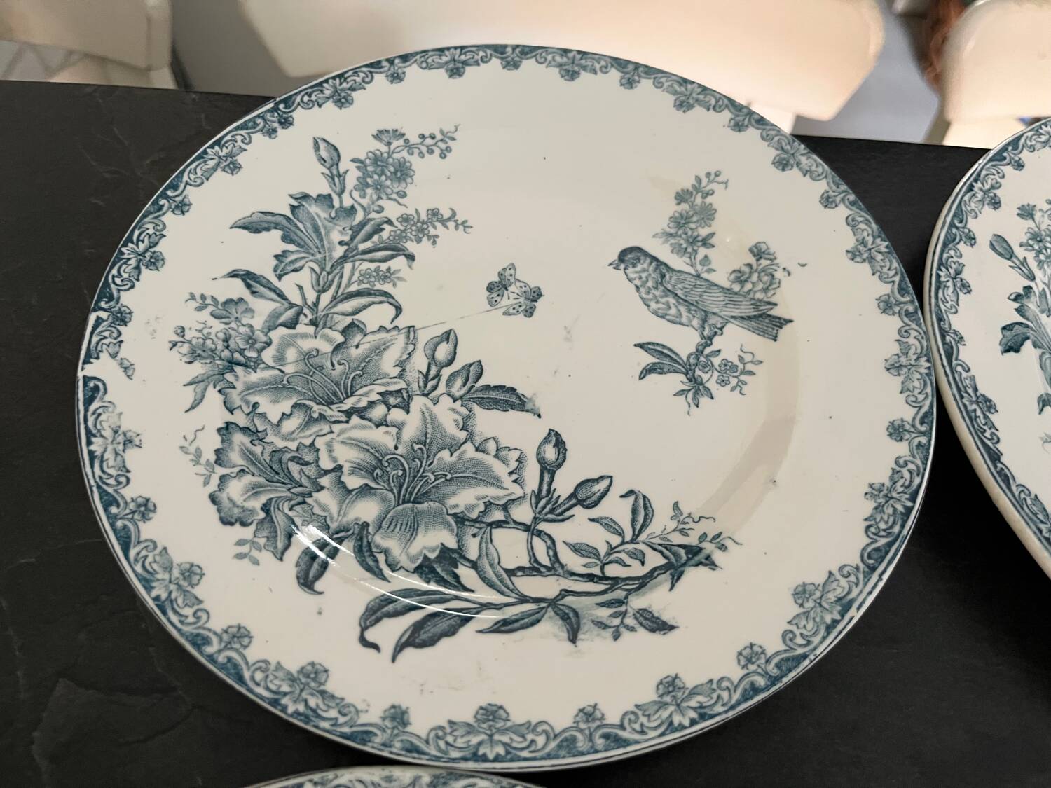 Léon Graves iron earth plates