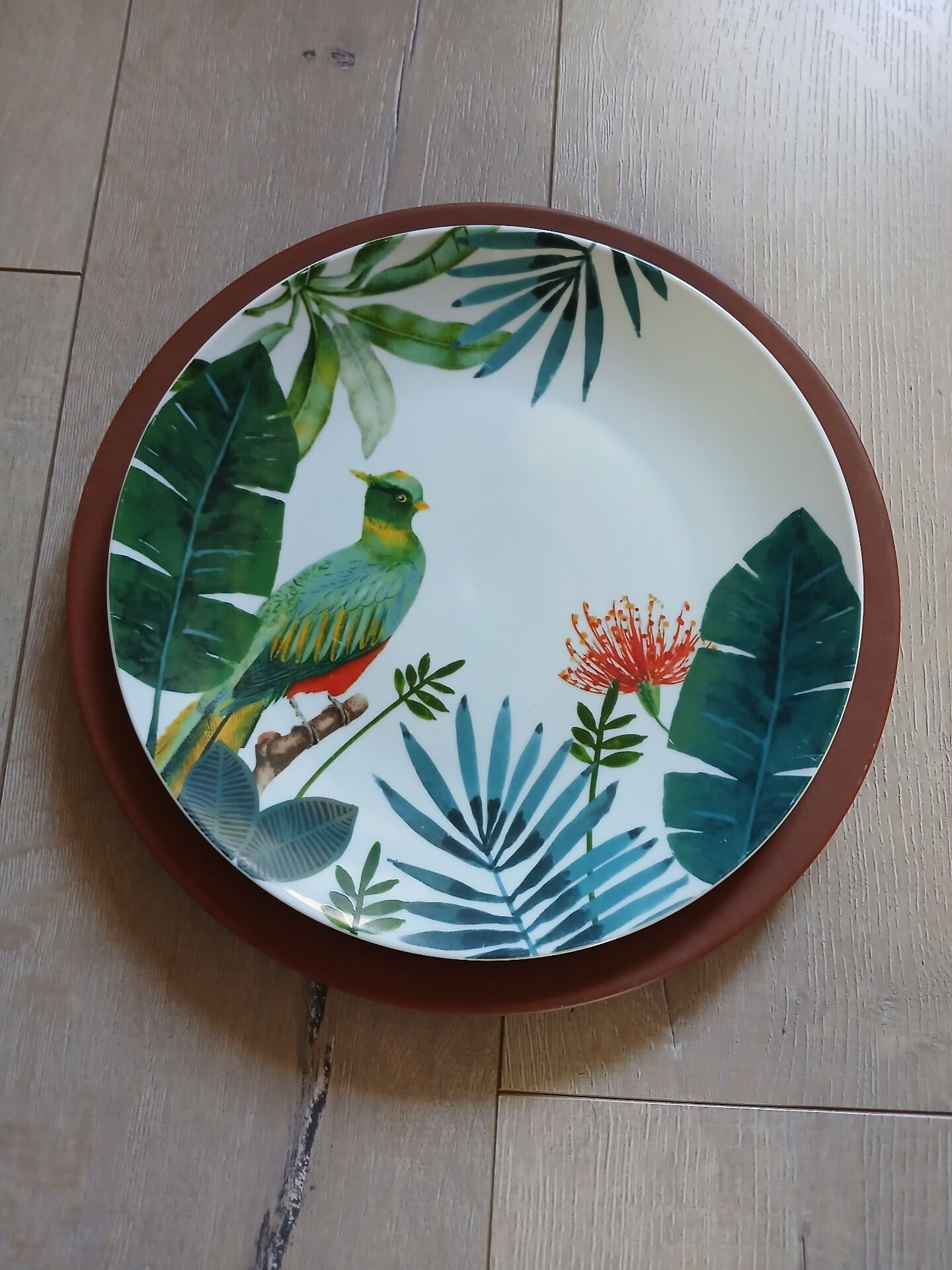 12 large flat plates Molin / Charolles