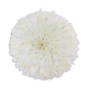 Juju hat blanc 75cm