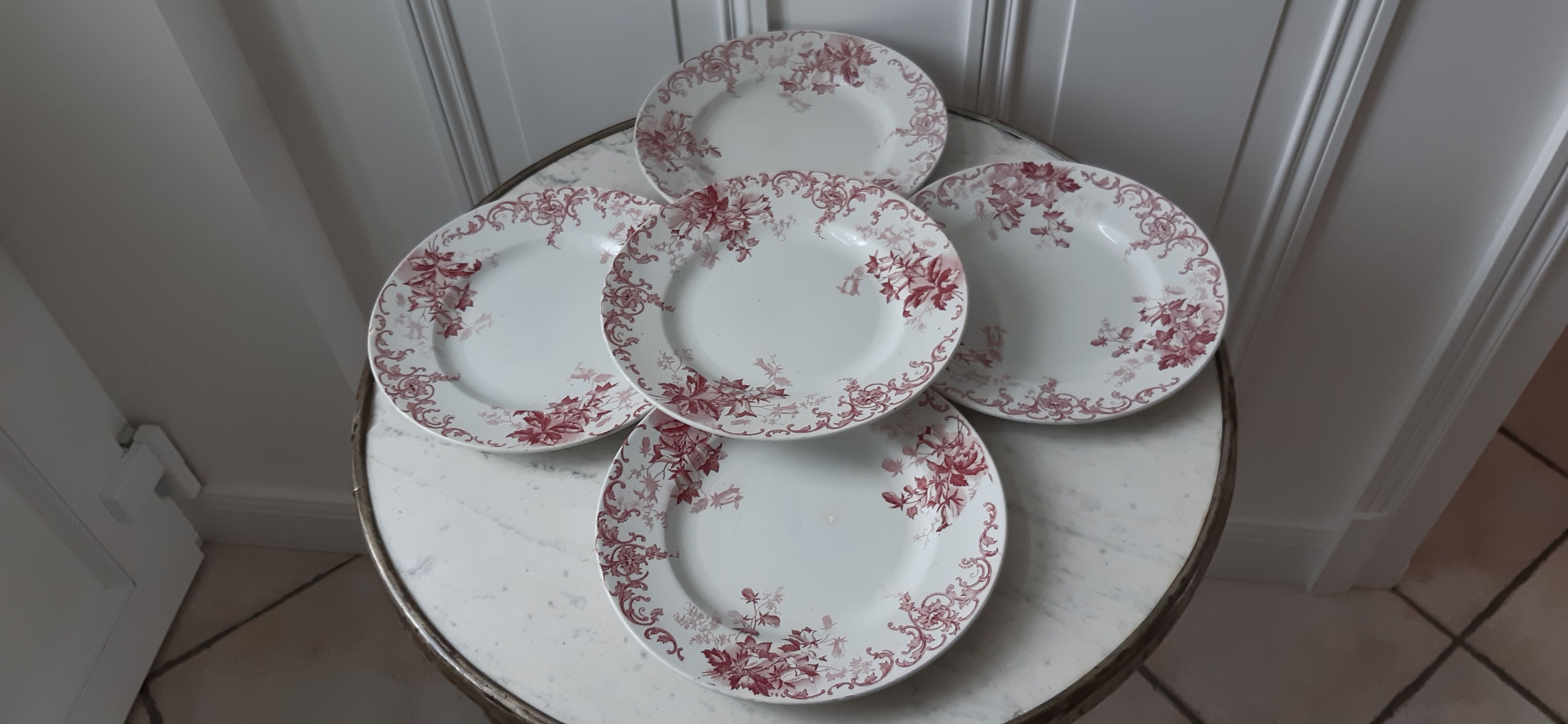 Set of 5 flat plates Terre de Fer St Amand model "Campanule" mid XIXth