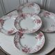 Set of 5 flat plates Terre de Fer St Amand model "Campanule" mid XIXth