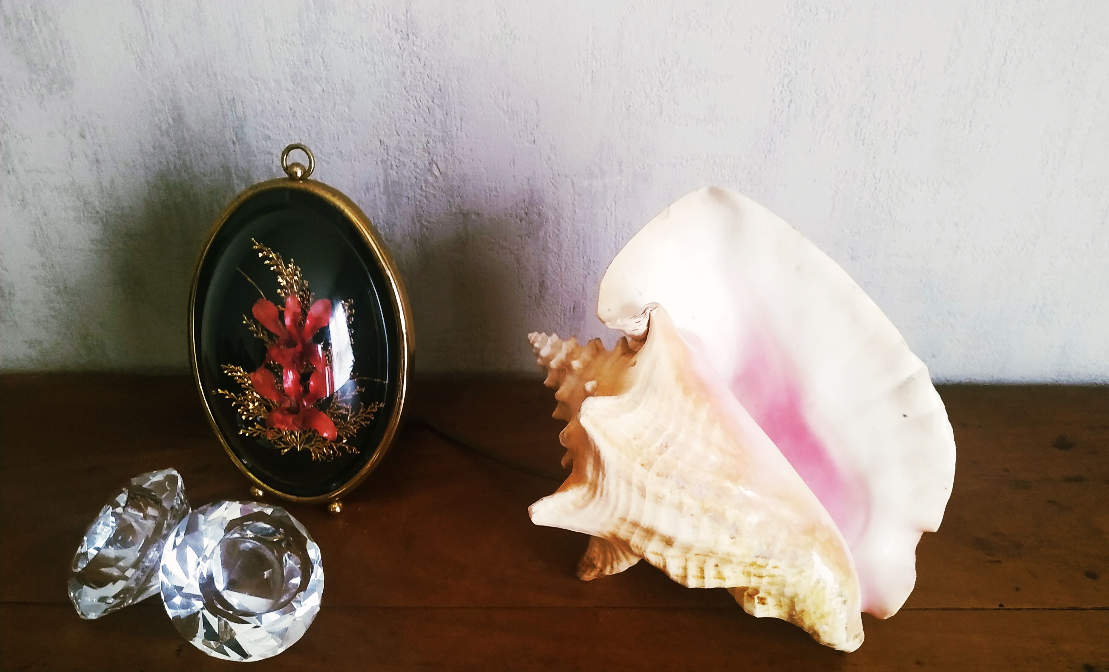 Natural seashell lamp