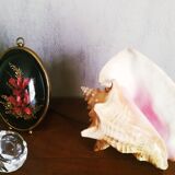 Natural seashell lamp