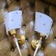 Pair of wall sconces