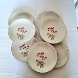 7 Mangnolias Dessert Plates 19.5cm with Gold profile.