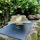 Large fruit bowl with mascaron signed WMF, Art Nouveau period.