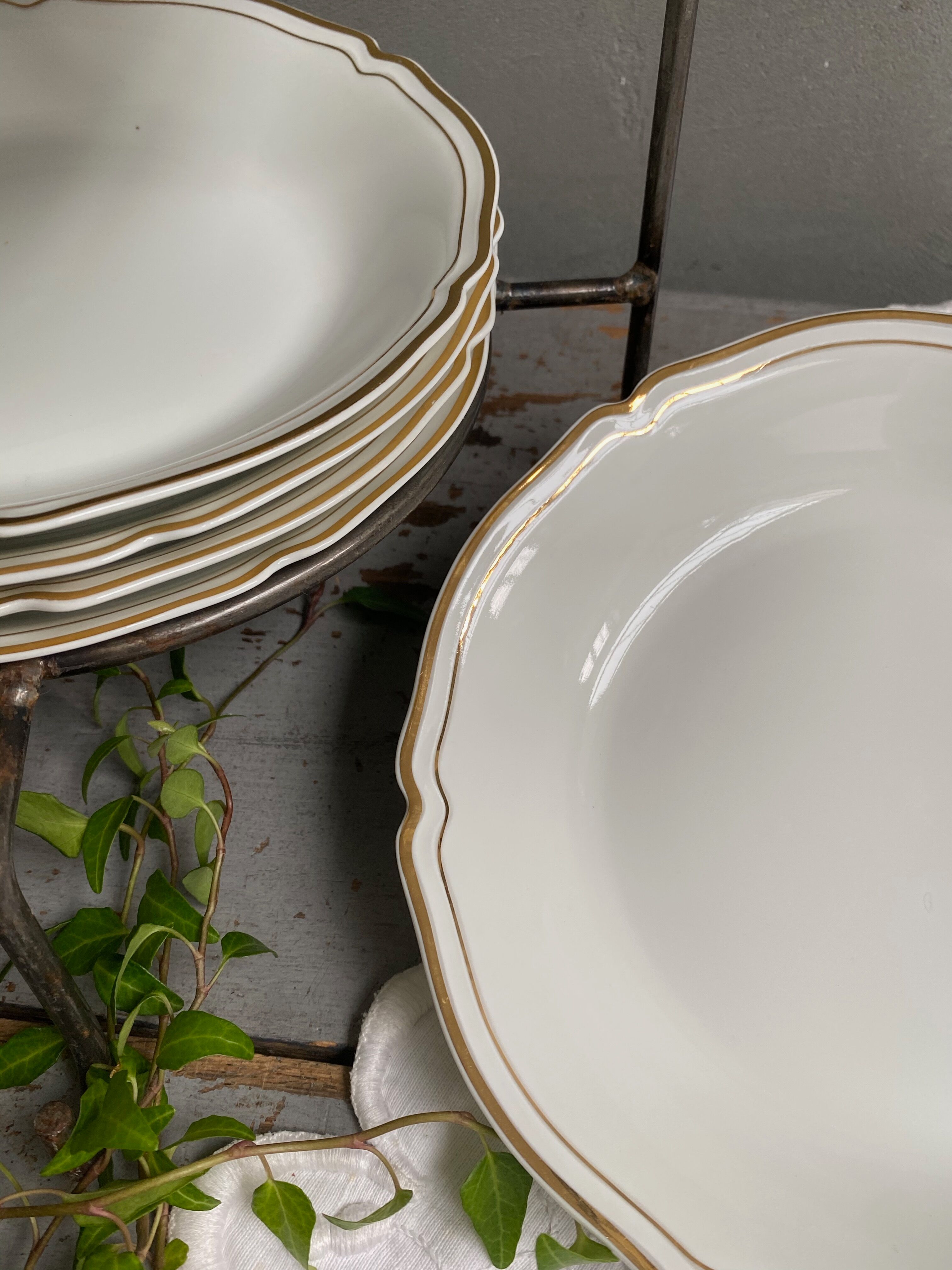 Hollow plates Limoges porcelain