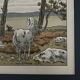 Lithograph by Henri Rivière Aspects of Nature - The Bay