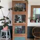 Oak display case