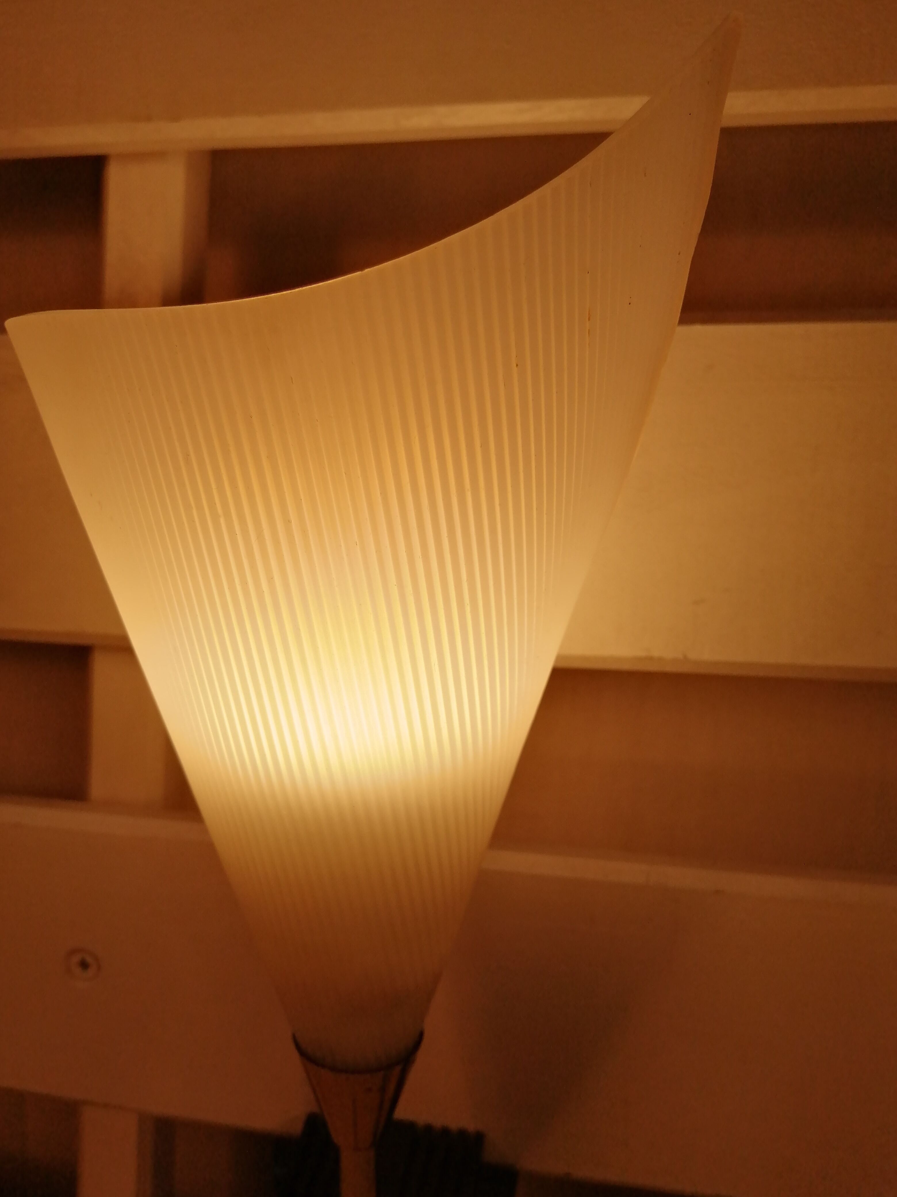 Duo wall lamps vintage tulip - 50s