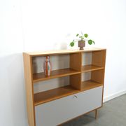 Deens Domino Mobler kast met klepdeur