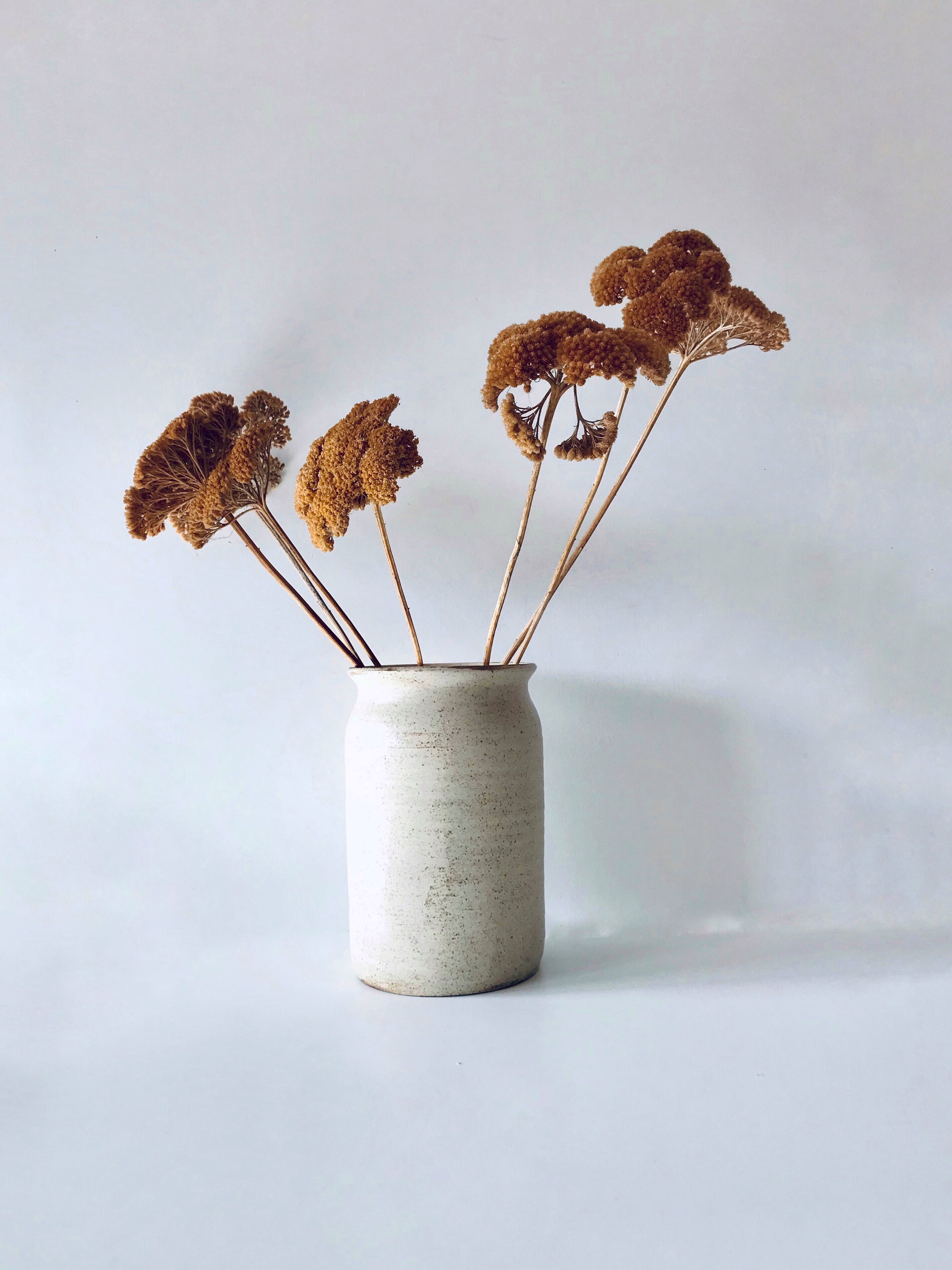 Ancient sandstone pot