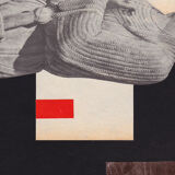 Collage on paper extinction