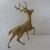 Cerf royal laiton animalier