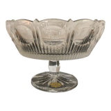 Fruit cup