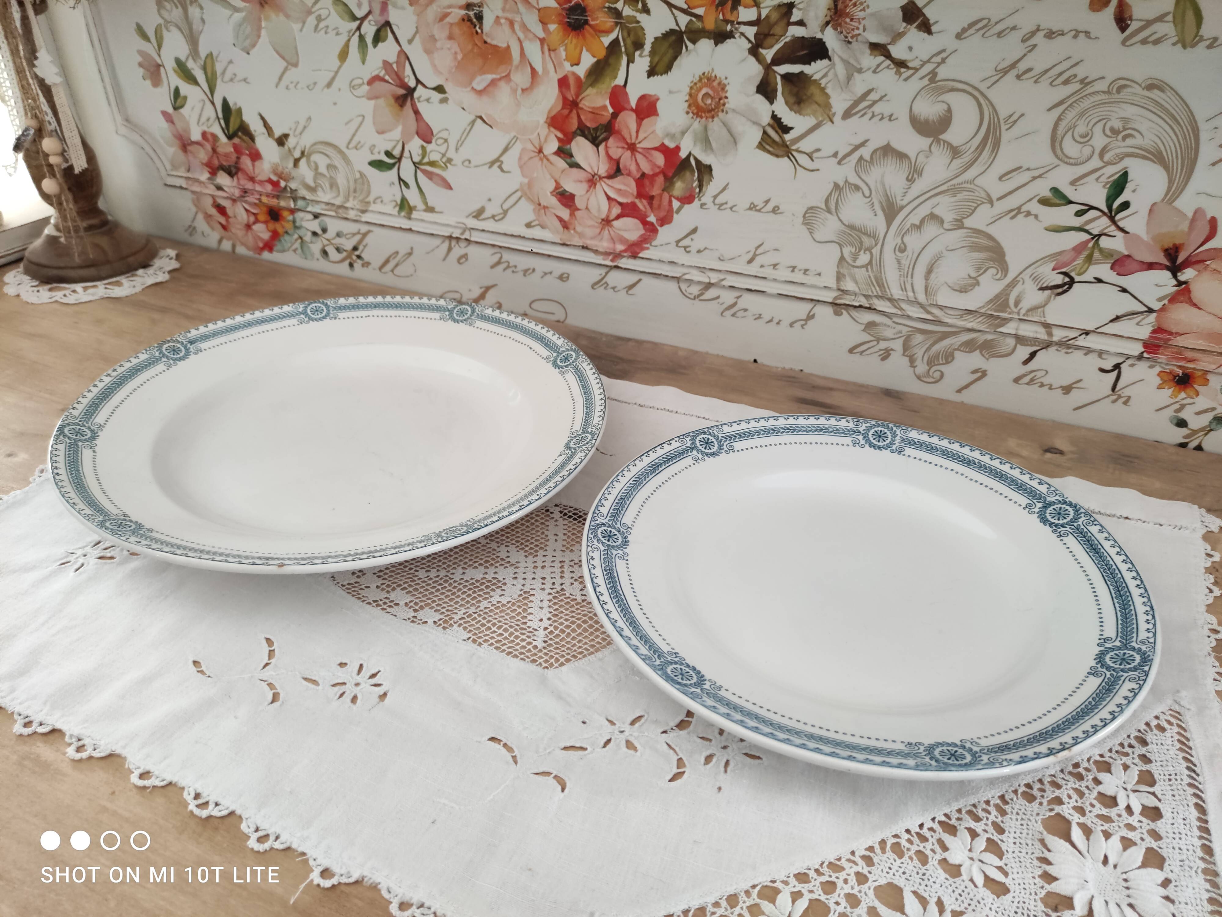 Set of 2 round dishes trundle in Iron Earth Sarreguemines model Carina decoration blue frieze