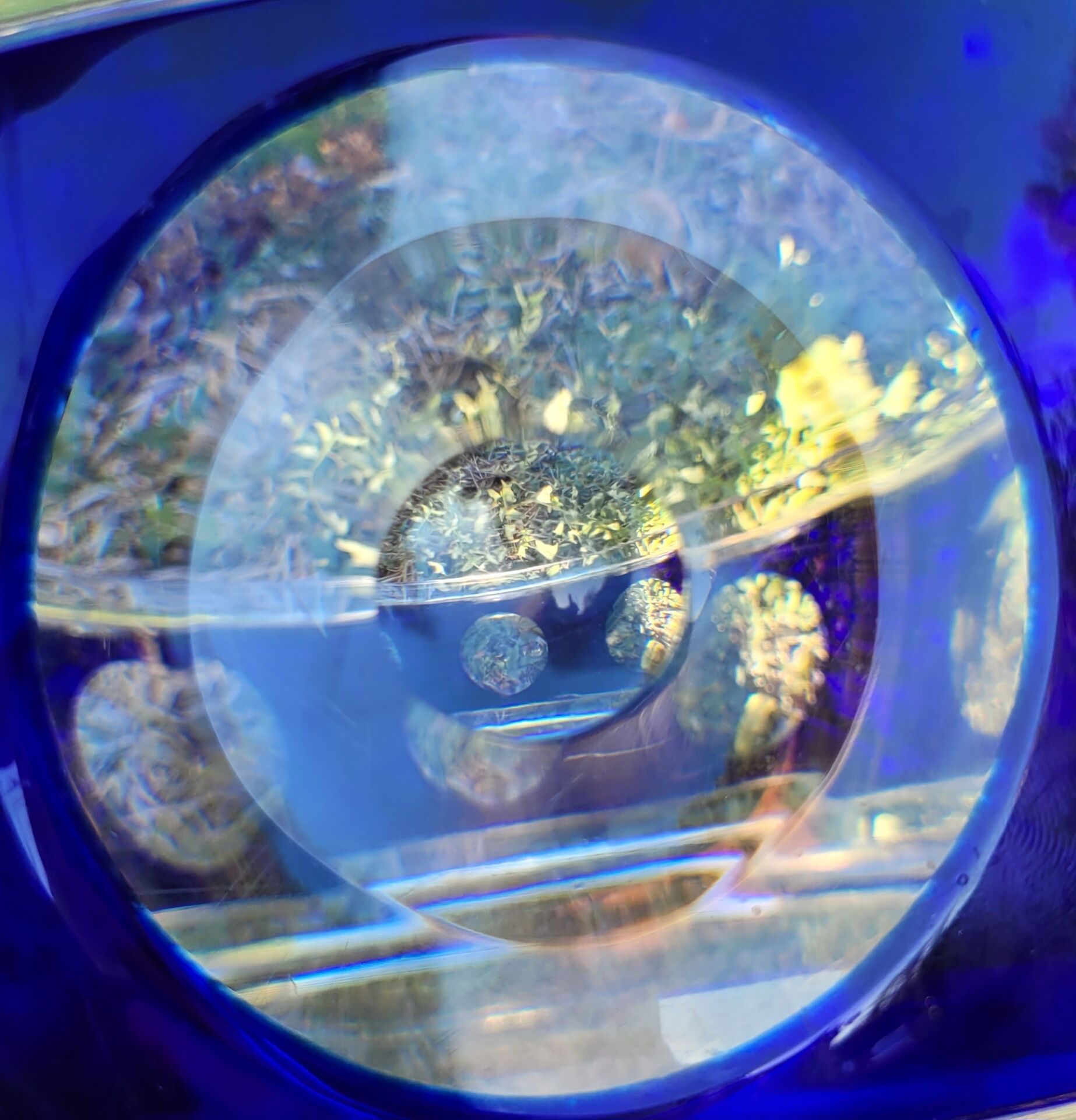 cobalt blue glass bowl with round lenses