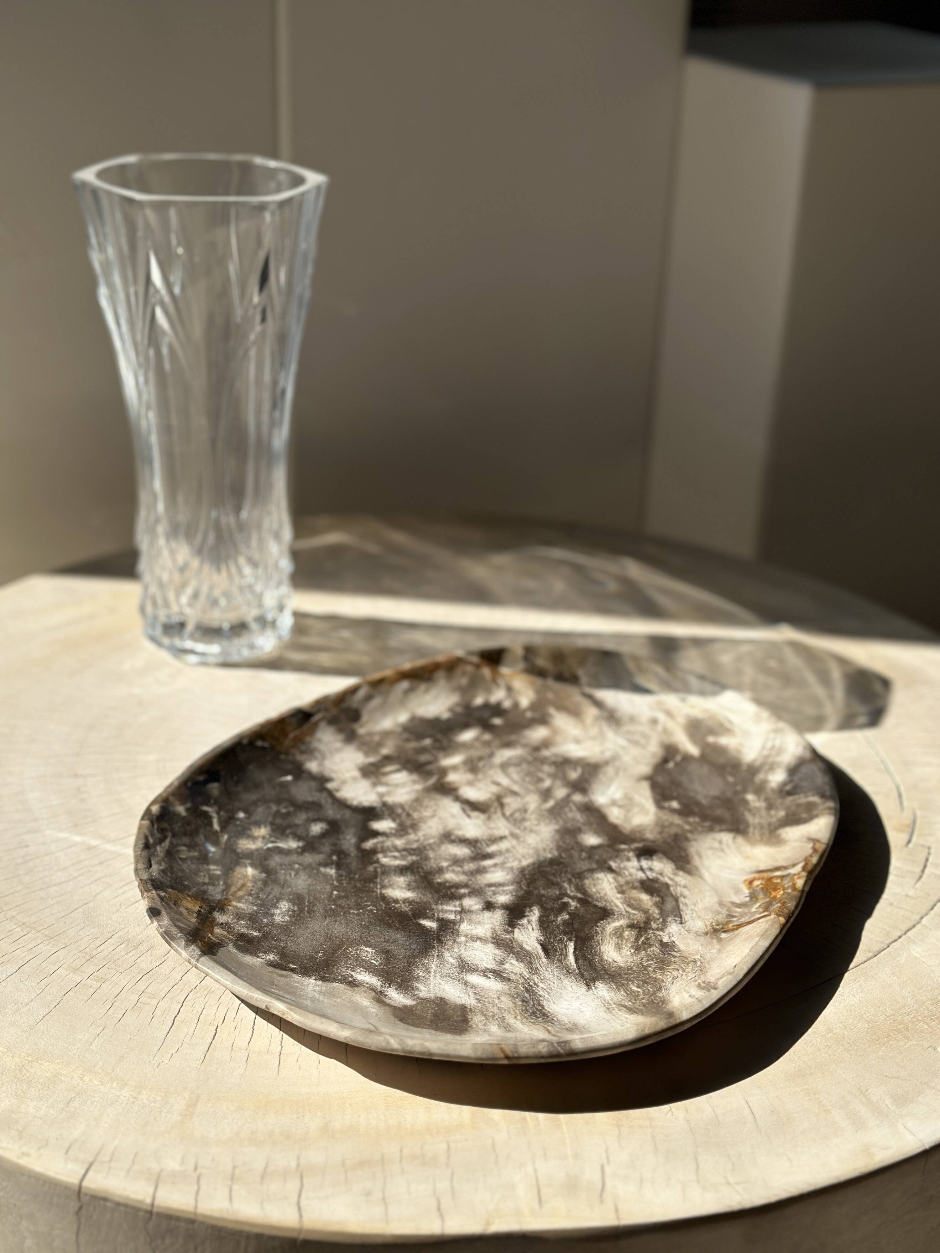 Very large empty pocket or dish in medium light petrified wood 1143