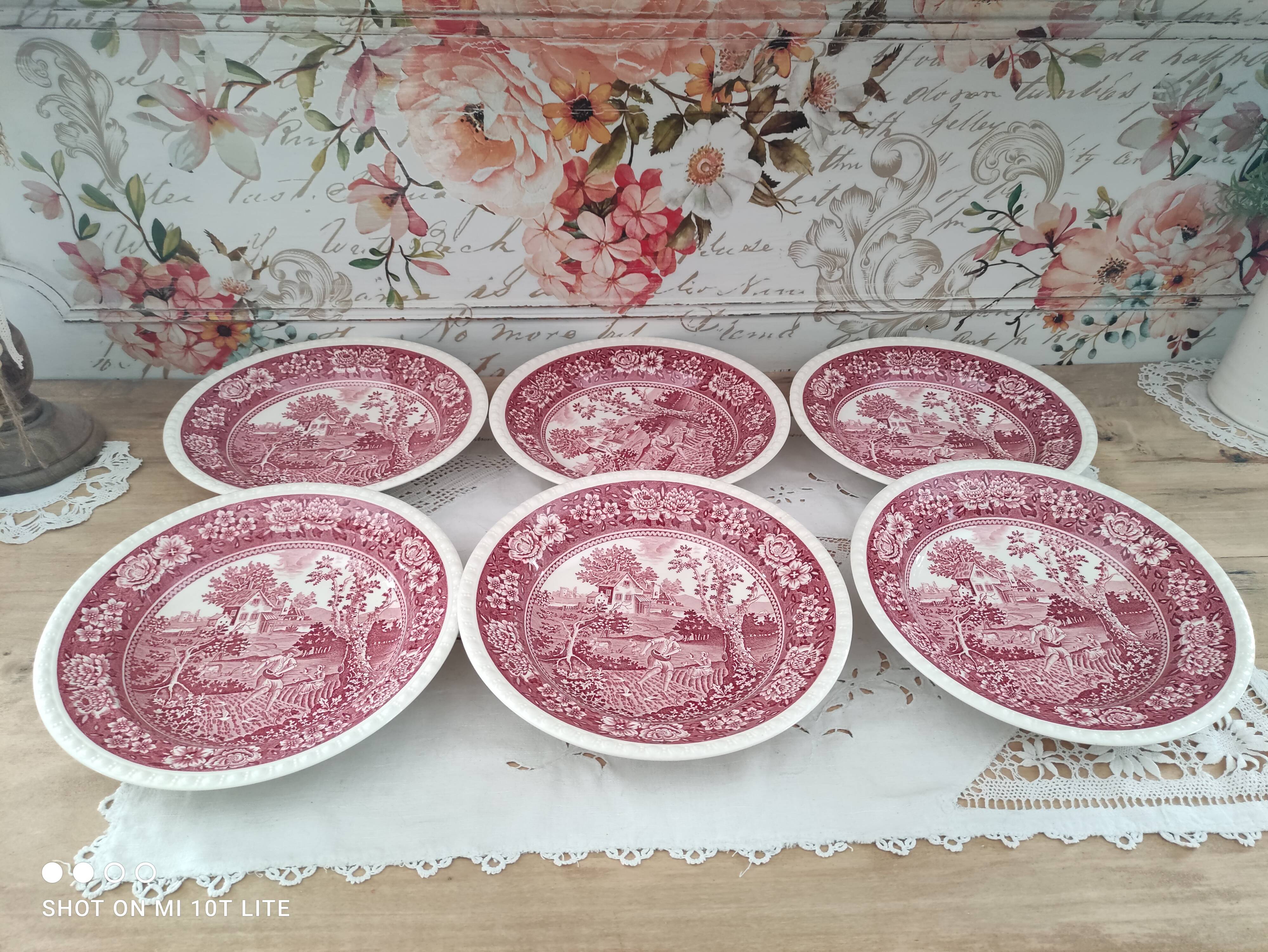 Set of 6 hollow plates in opaque porcelain Villeroy & Boch model Rusticana red English décor