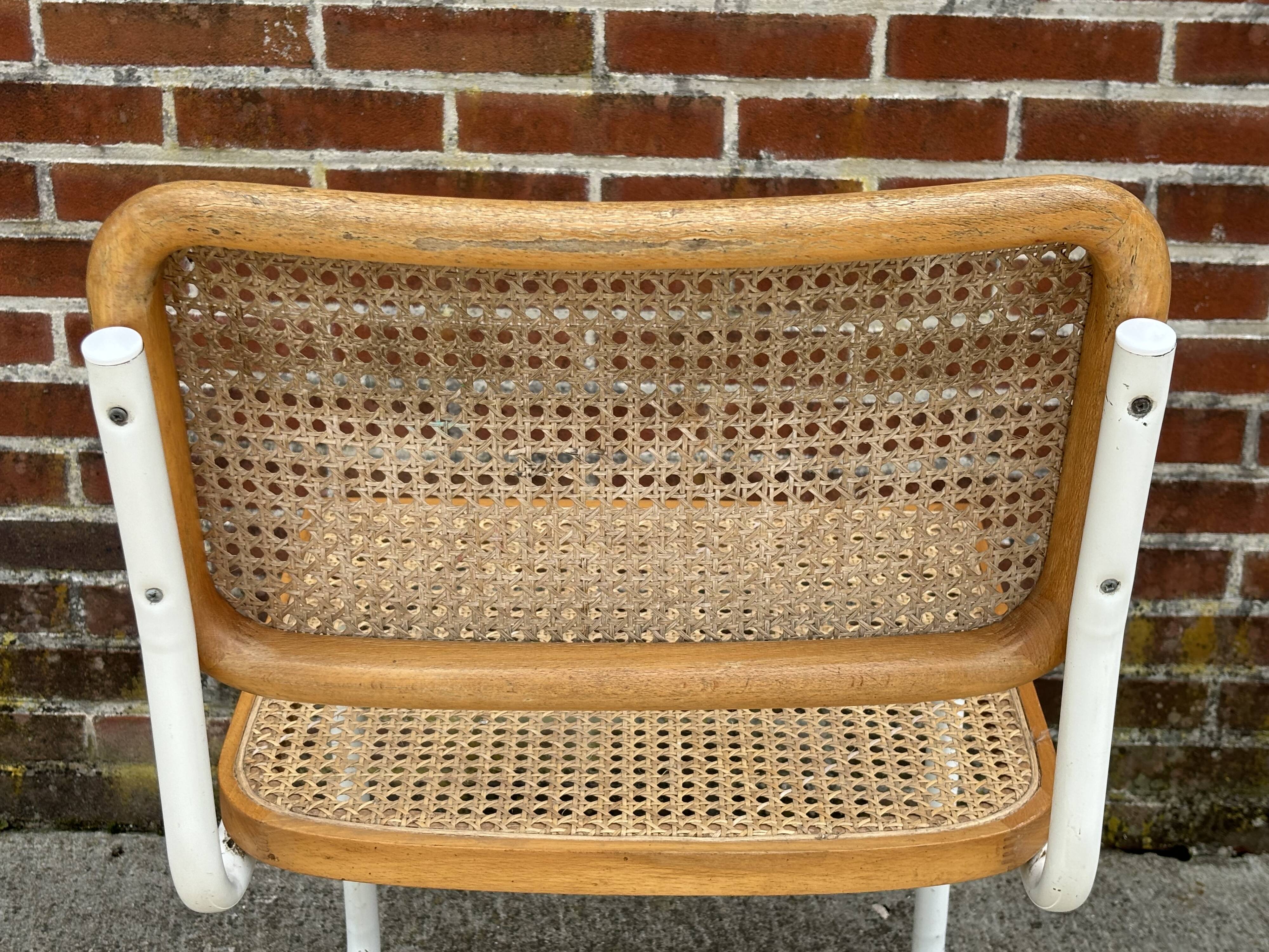 Cesca chair b32 model in white and wood by Marcel Breuer