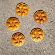 5 earthenware oyster plates from Saint Clement, 1960s