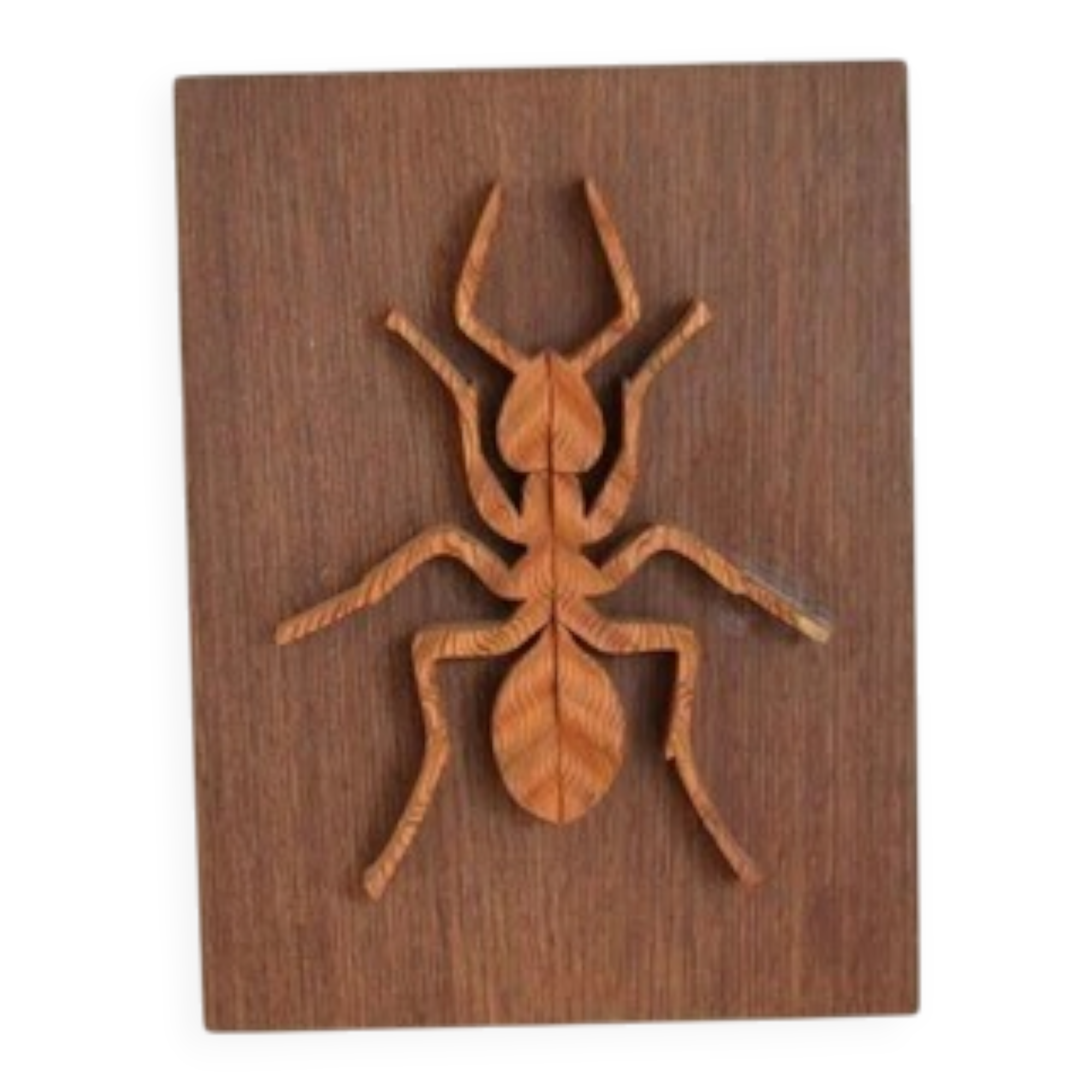 Plaque décorative en bois avec motif d'insecte