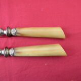 Covered with salad horn and silver metal.