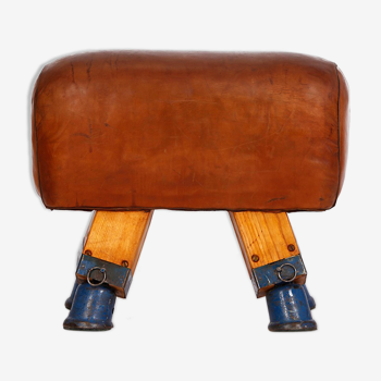 Vintage Czech Leather Turnbock Gym Stool Bench, 1930s