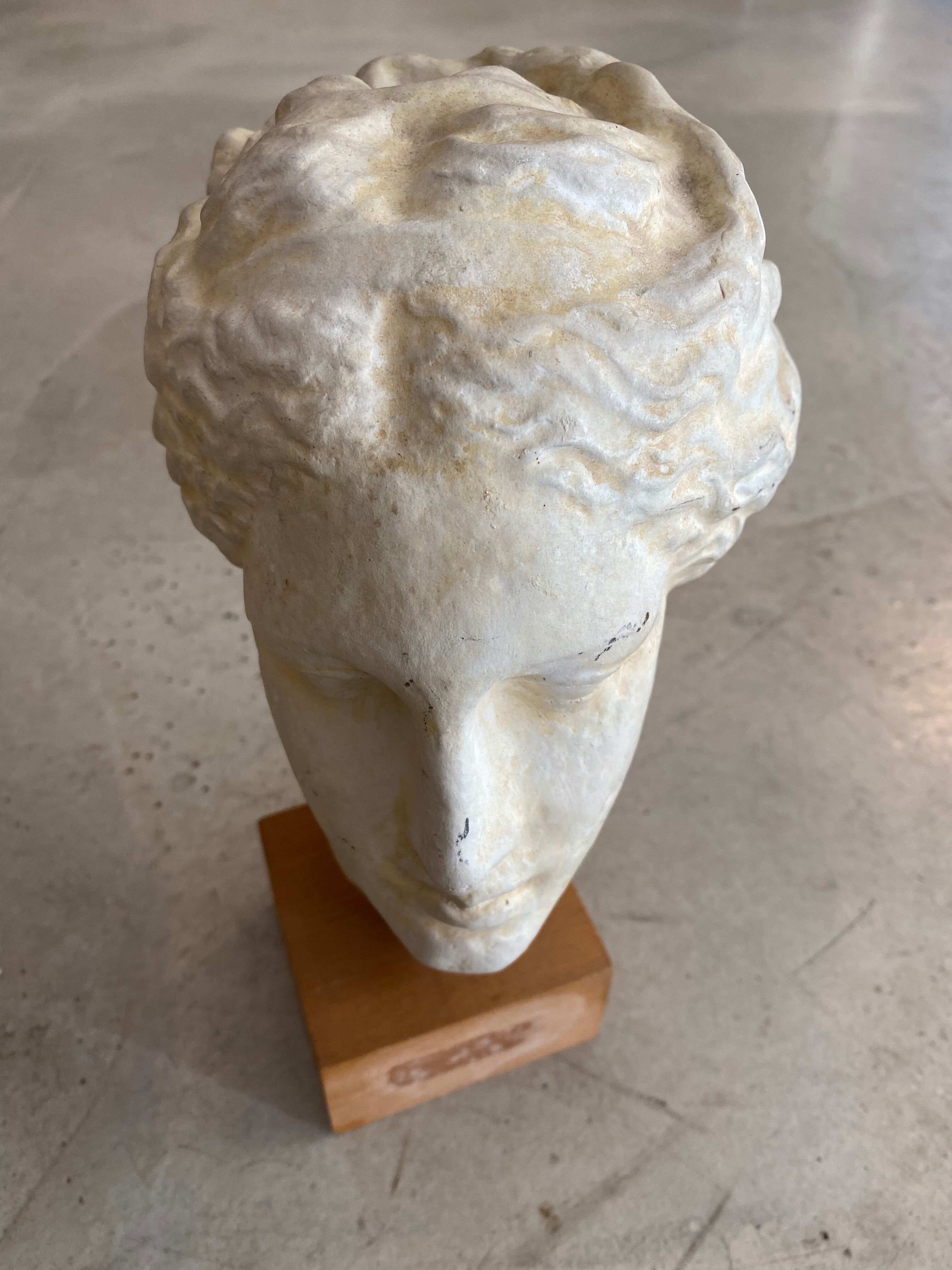 Antique plaster head