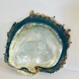 Large mother-of-pearl shell