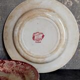 Five plates of earthenware from Pexonne 19th service "flowers"