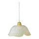 Vintage pendant light with frosted glass lampshade