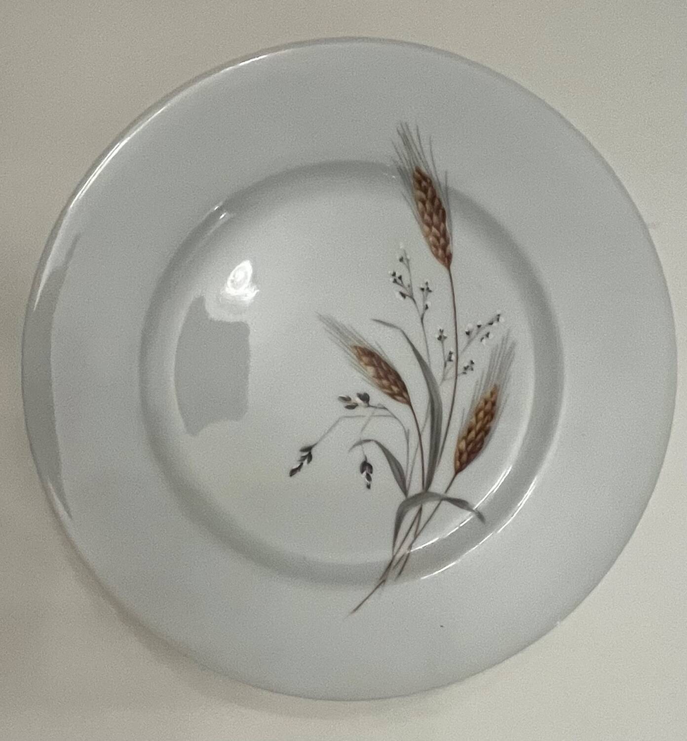 5 assiettes à dessert en porcelaine